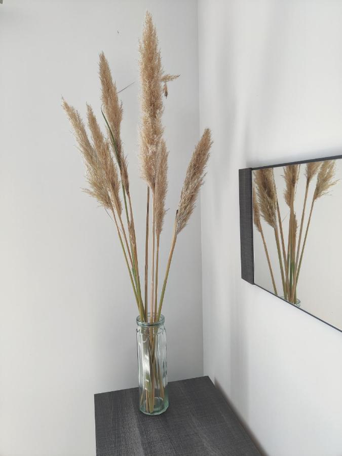 Appartement T3 Plume Hyper Centre D'Ernee Ngoại thất bức ảnh